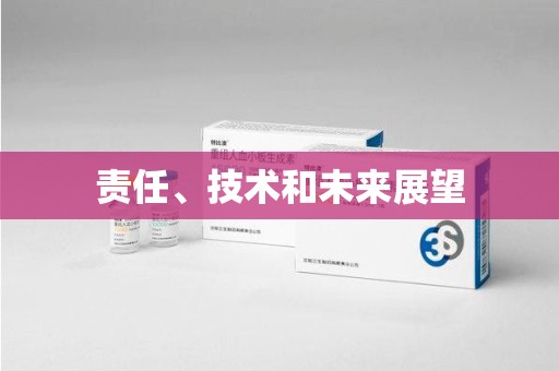 烟台责任、技术和未来展望