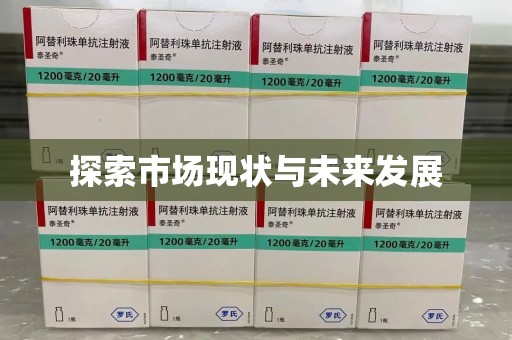 烟台探索市场现状与未来发展