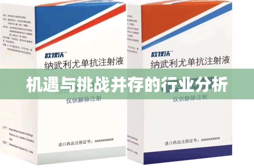 烟台机遇与挑战并存的行业分析