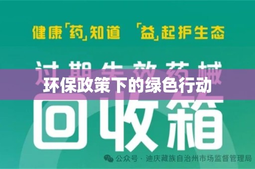 烟台环保政策下的绿色行动