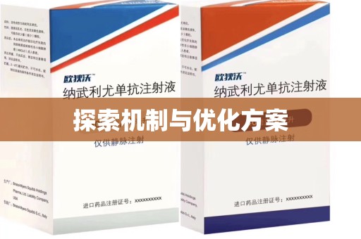 烟台探索机制与优化方案